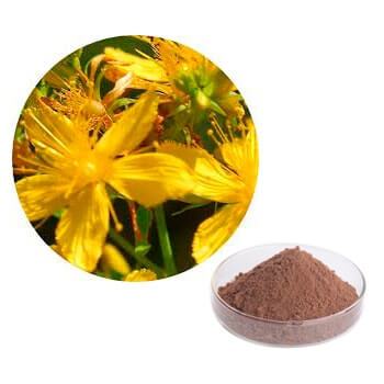 each jelly for premature ejaculation contains St. John’s Wort extract