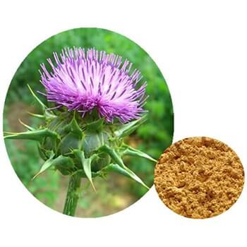 each jelly for more sexual energy contains Cotton Thistle extract